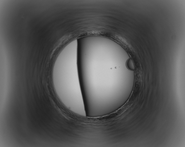 X0000085050738200703051045