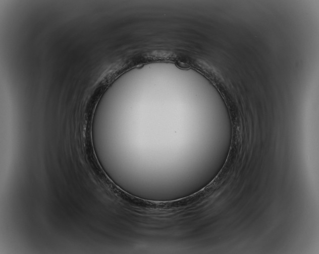 X0000085050739200703051045