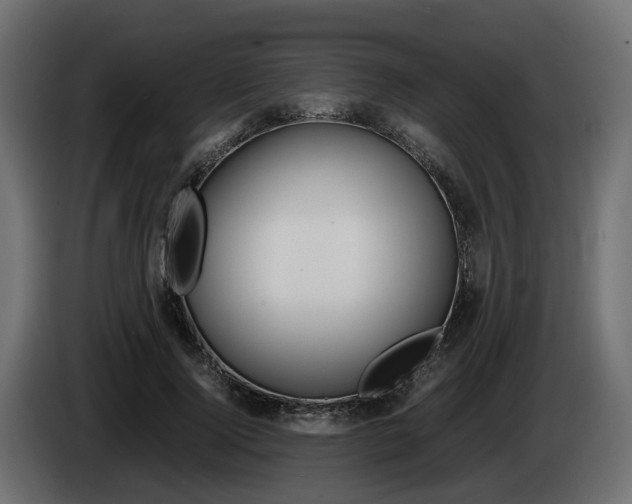 X0000085050740200703051045