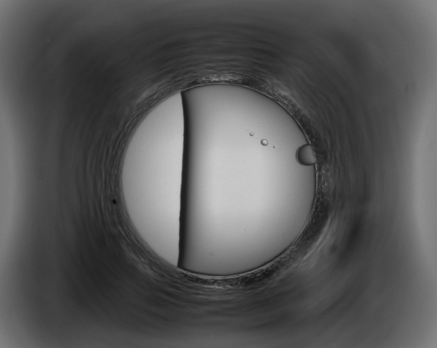 X0000085050741200703051045