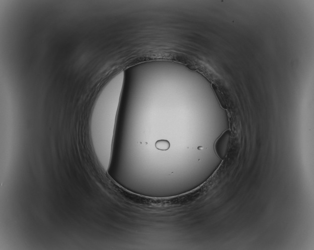 X0000085050744200703051045