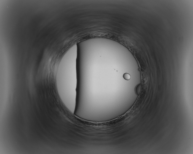 X0000085050745200703051045