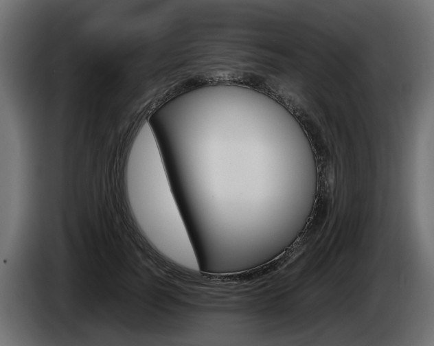 X0000085050746200703051045