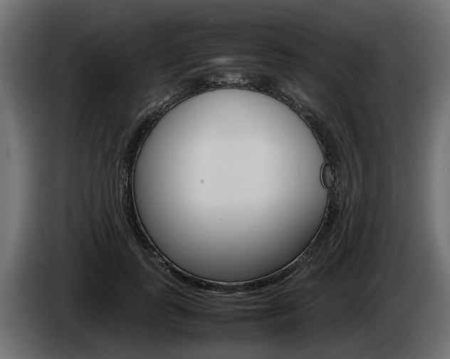 X0000085050747200703051045