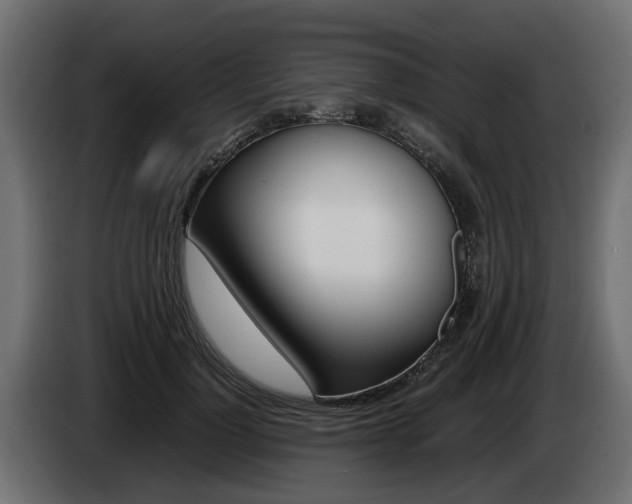 X0000085050748200703051045