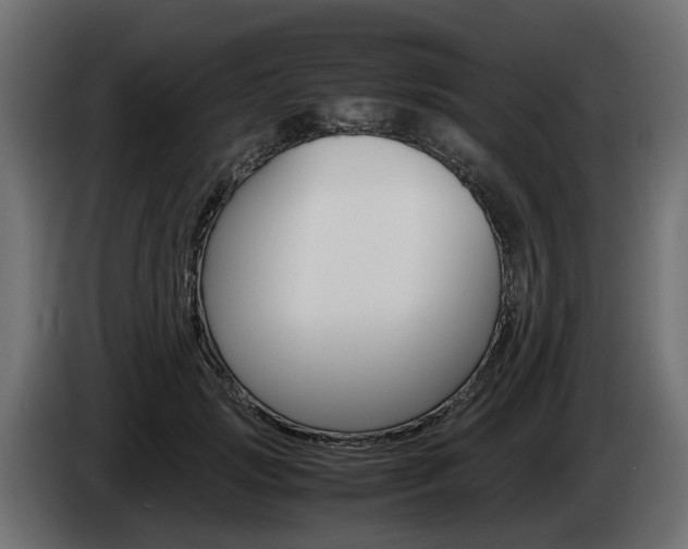 X0000085050749200703051045