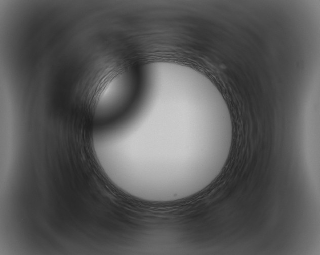 X0000085050750200703051045
