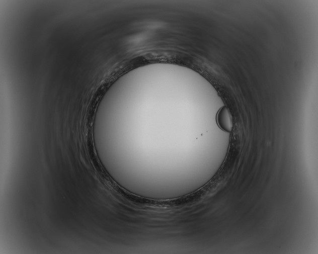 X0000085050751200703051045