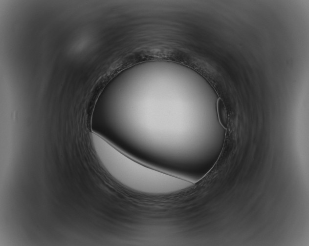 X0000085050752200703051045