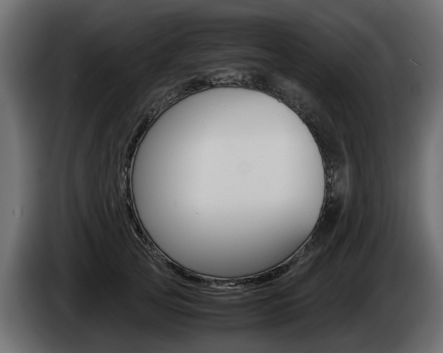 X0000085050753200703051045