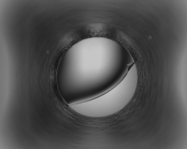 X0000085050756200703051045