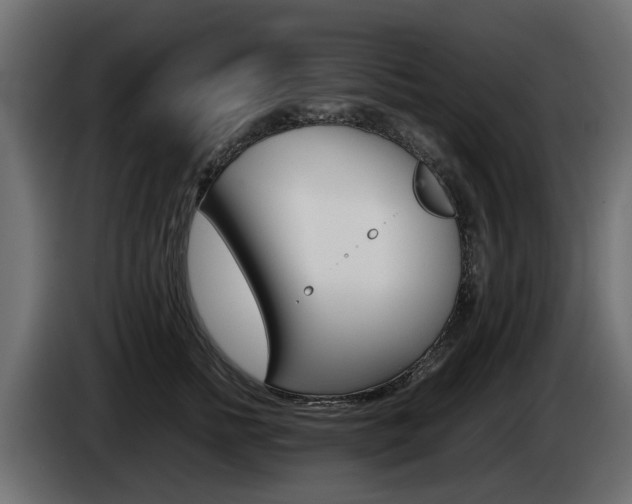 X0000085050758200703051045