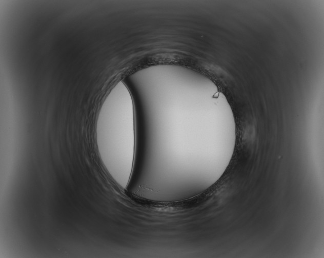 X0000085050759200703051045