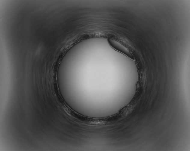 X0000085050760200703051045
