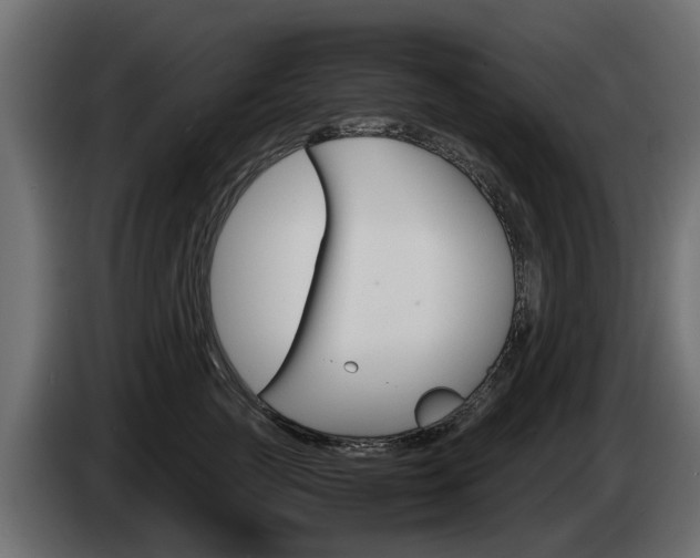 X0000085050761200703051045
