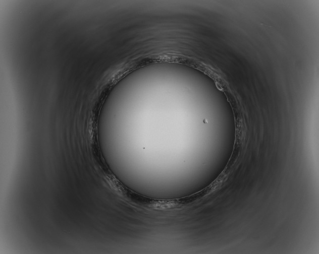 X0000085050762200703051045