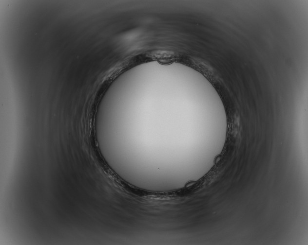 X0000085050763200703051045