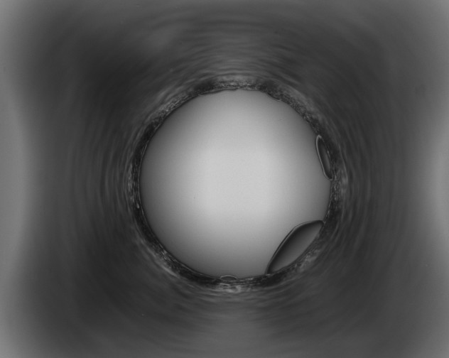 X0000085050764200703051045