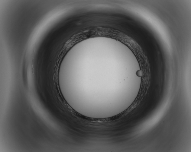 X0000085050765200703051045