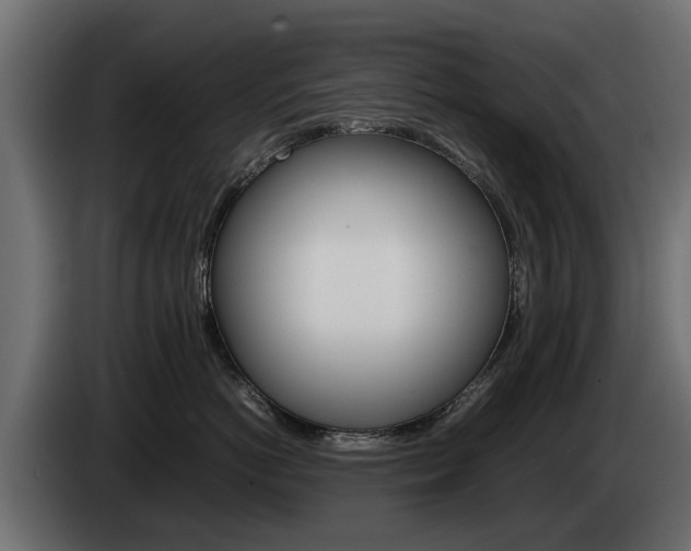 X0000085050766200703051045