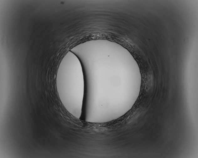X0000085050770200703051044