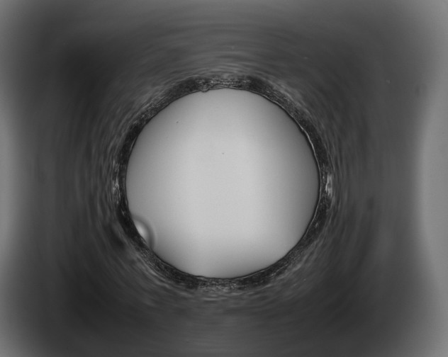 X0000085050771200703051044