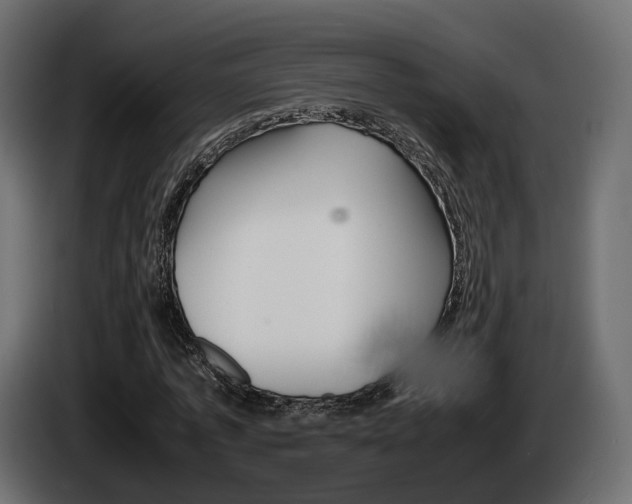 X0000085050773200703051044