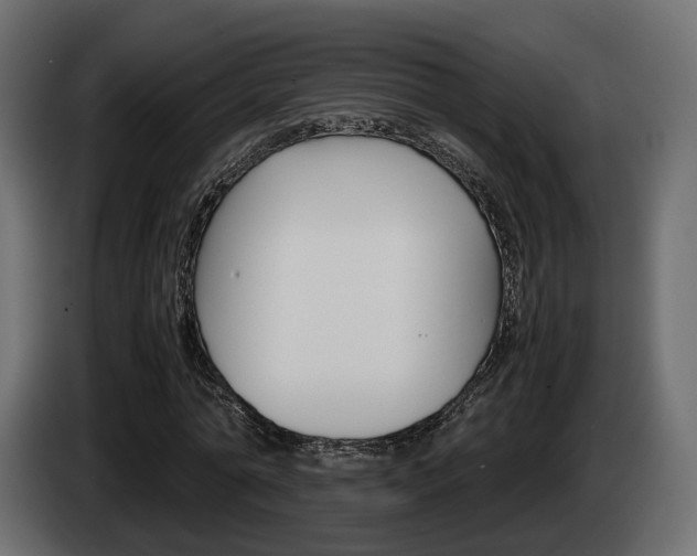 X0000085050774200703051044