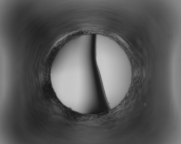 X0000085050775200703051044