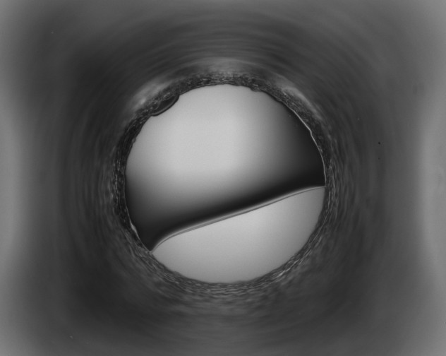 X0000085050776200703051044