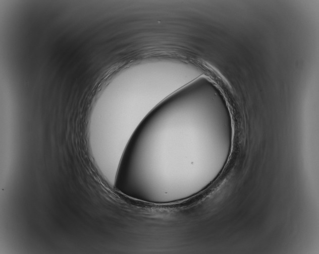 X0000085050777200703051044
