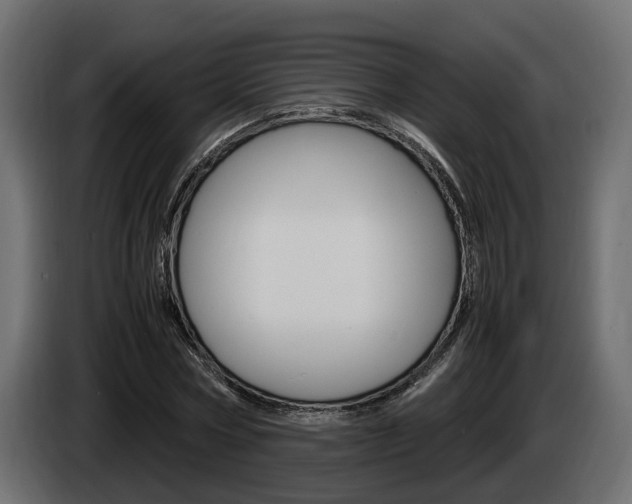 X0000085050778200703051044