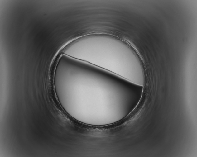 X0000085050779200703051044