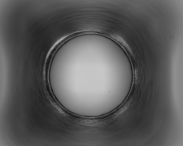 X0000085050780200703051044