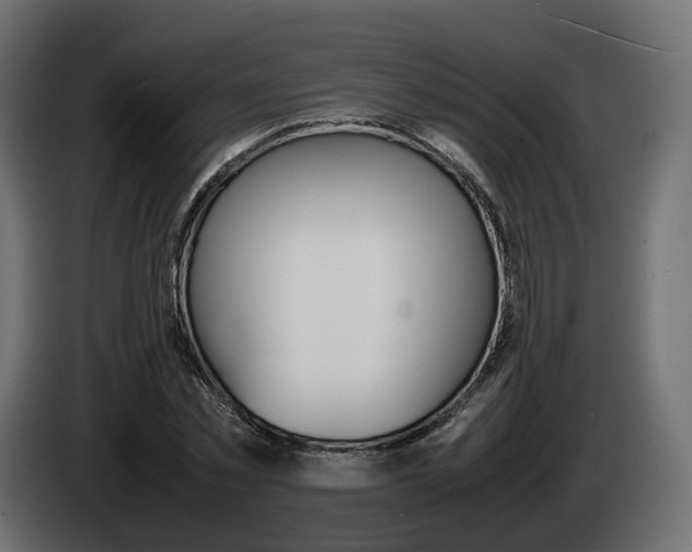 X0000085050781200703051044