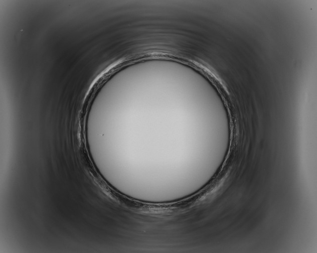 X0000085050782200703051044
