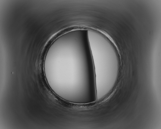 X0000085050783200703051044