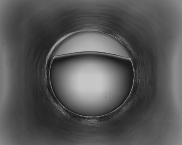 X0000085050784200703051044