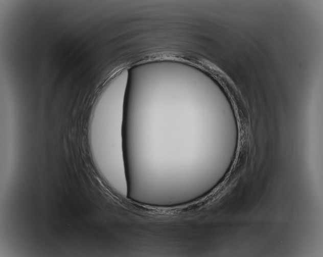 X0000085050785200703051044