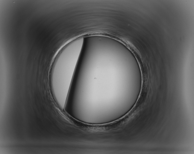 X0000085050789200703051044