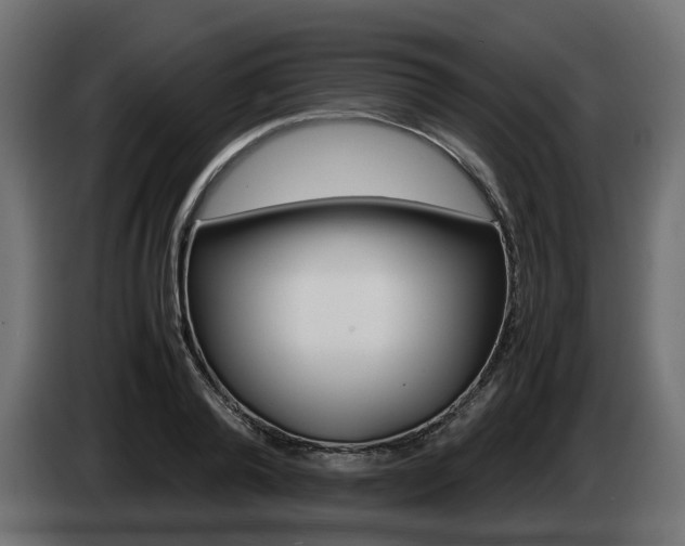 X0000085050792200703051044