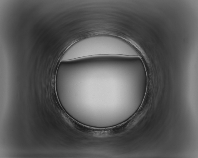 X0000085050793200703051044