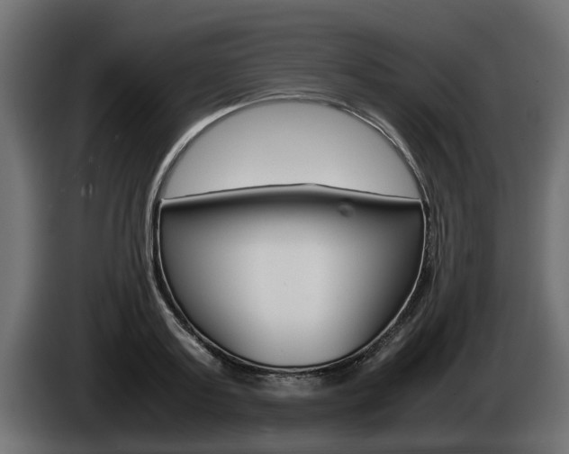 X0000085050795200703051044