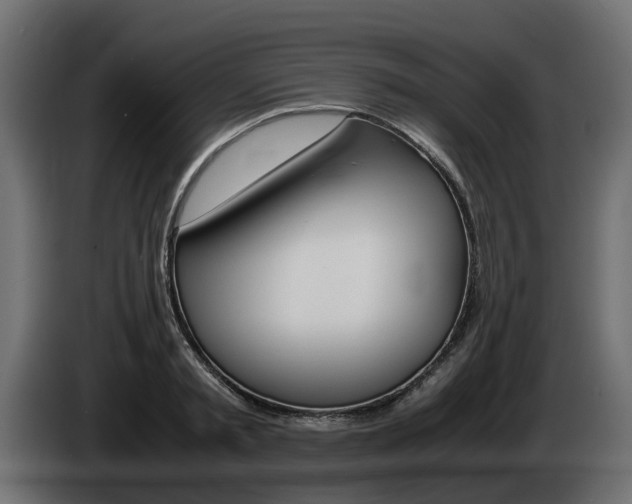 X0000085050797200703051044
