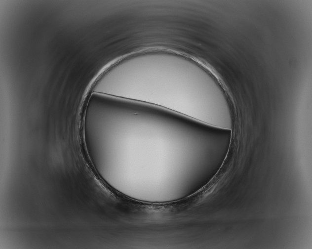 X0000085050799200703051044