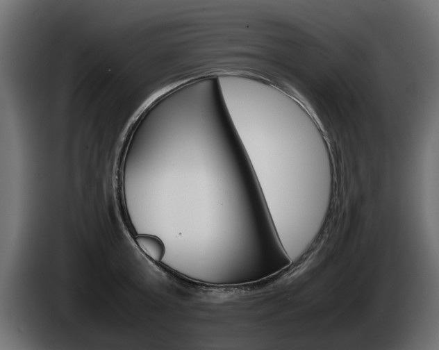 X0000085050803200703051044