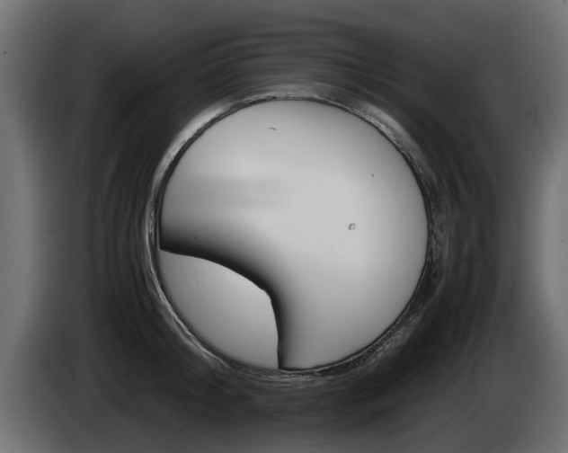 X0000085050804200703051044