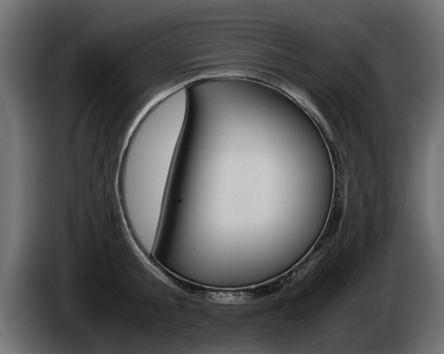 X0000085050805200703051044