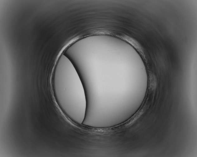 X0000085050806200703051044