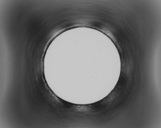 X0000085050807200703051044